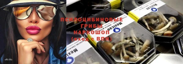 не бодяженный Гусев