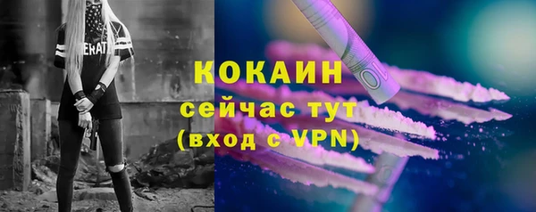 не бодяженный Гусев