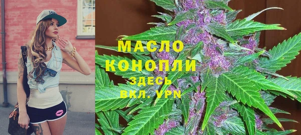 не бодяженный Гусев
