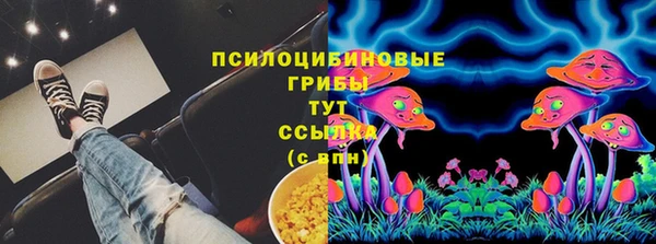 первитин Гусь-Хрустальный