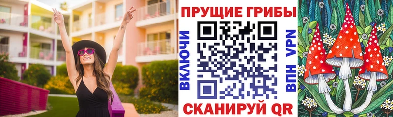 Купить закладки  Краснозаводск  Псилоцибиновые грибы мицелий 